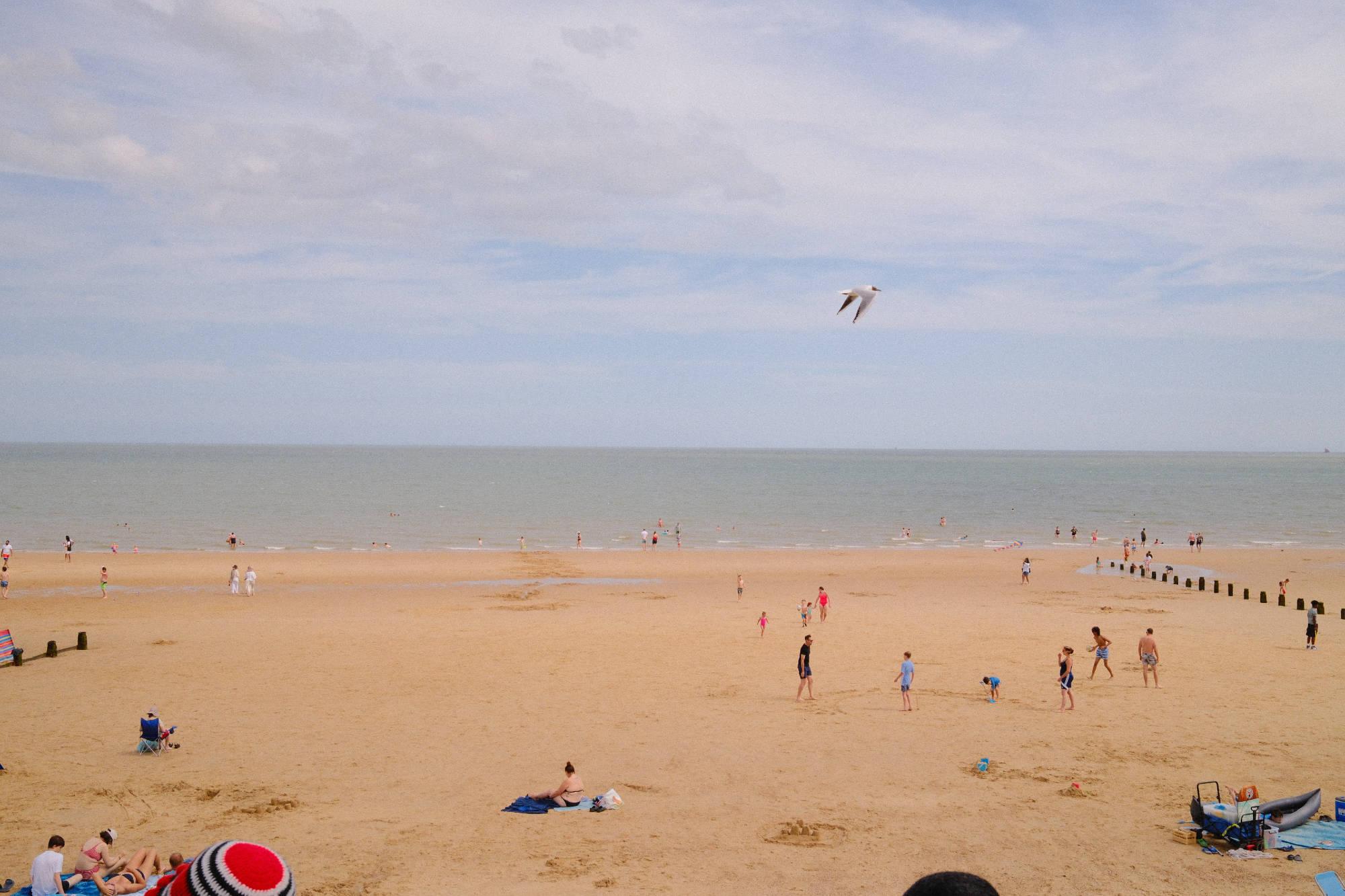 sandy beach with people playing and walking on the sand and a seagull flying
